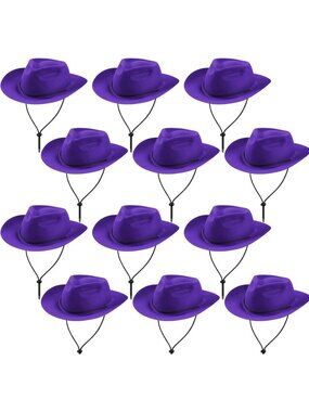 Men's Purple Plastic Felt Wide Brimmed Western Cowgirl Cowboy Hat 12 Pieces